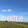 Vista vigne Alentejo