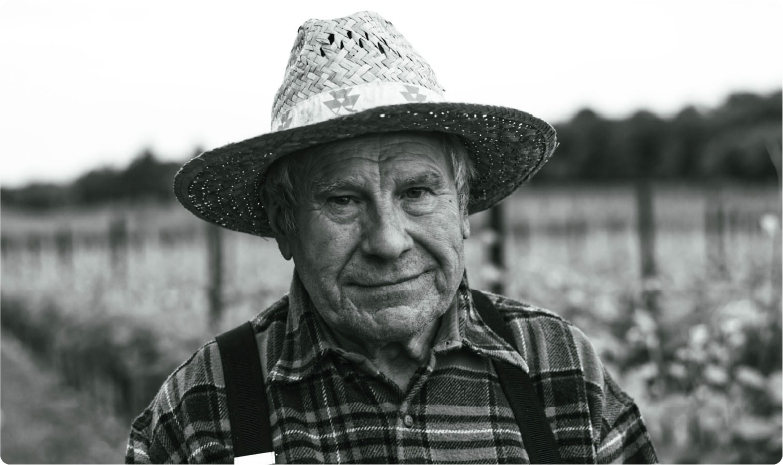 Risorsa 10wt_galleria_casaprimavera