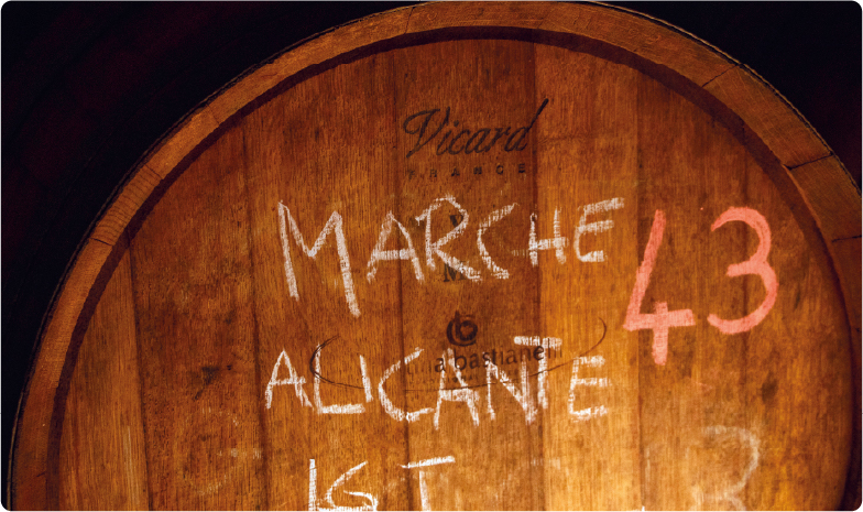 Risorsa 2wt_galleria_bastinaelli