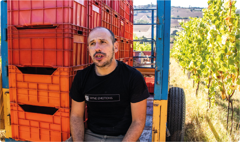 Risorsa 4wt_galleria_bastinaelli