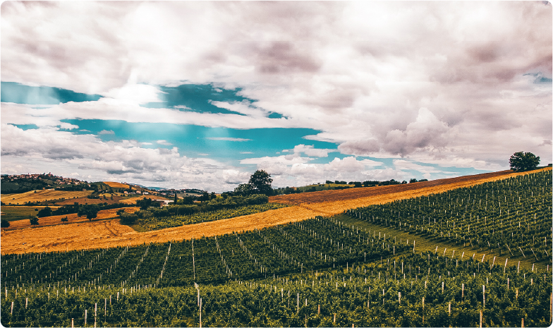 Risorsa 5wt_galleria_bastinaelli